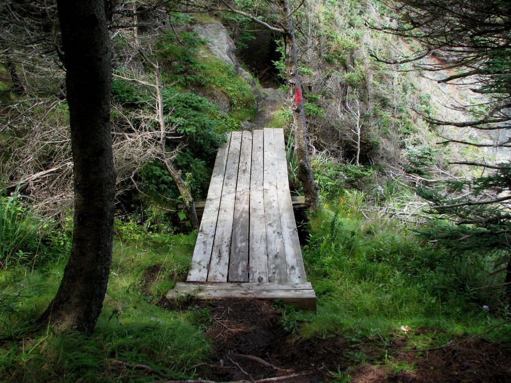 hiking trail